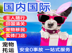 宁波空运地址国际宠物托运 【国